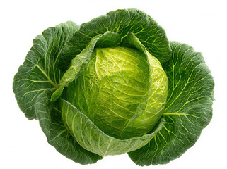 Obraz premium Fresh cabbage sits on a white background ready for cooking or salad preparation on a sunny afternoon