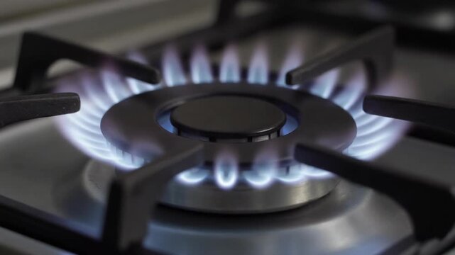 Gas stove burner, blue flames