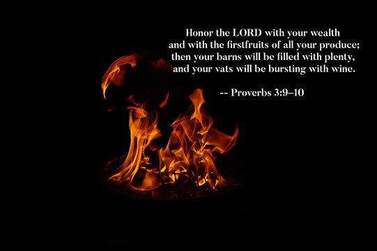 Proverbs 3 9-10