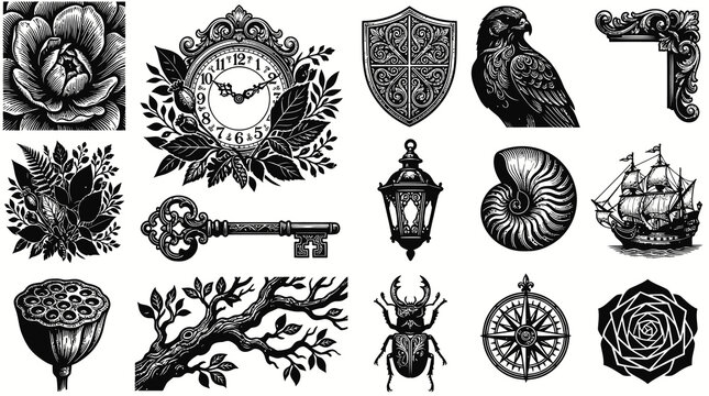 Black and White Engraving Style Botanical Elements, Antique Clock, Skeleton Key, Nautilus Shell, and Vintage Ship