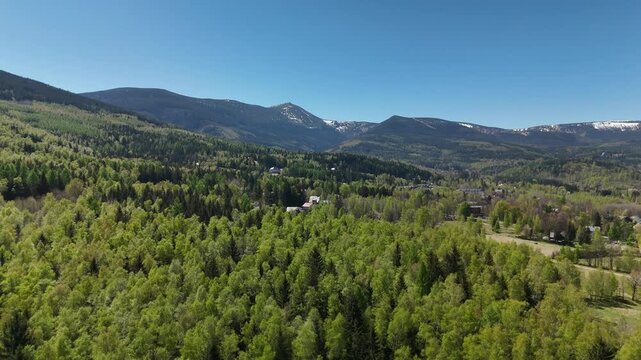 Aerial view of green forest and mountain range under clear blue sky in Poland