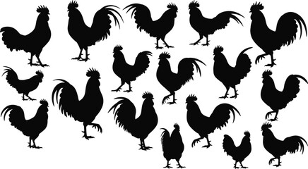Rooster Silhouette Vector Set Featuring Various Standing and Walking Gallus Domesticus Poses for Farmhouse Decor, Agricultural Branding, Poultry Farming Logos, and Country Style Graphic Designs © Sohel