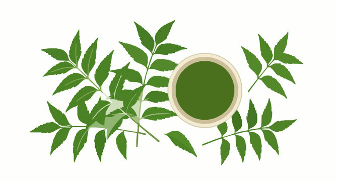 Herbal neem leaf and paste vector top view ayurvedic plant illustration isolated on white background