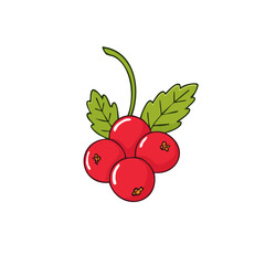 Obraz premium Cluster of bright red berries with green leaves on a delicate stem vector illustration