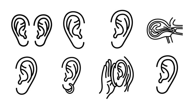 Collection of human ear anatomy drawings.