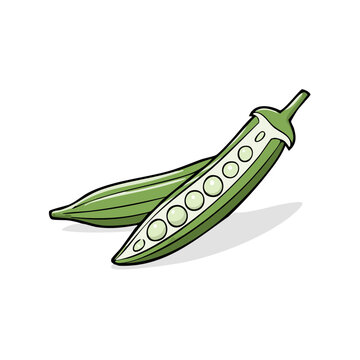 Fresh Green Okra Pods Sliced Open Revealing Seeds and Texture