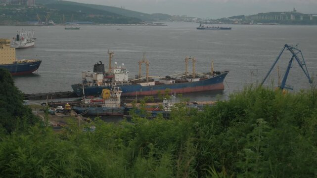 Static handheld shot of cargo ships and tugboats moored at a pier in the Sea of Japan, Vladivostok. Green coastal foliage frames this industrial port under an overcast sky.