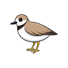 Fototapeta premium Cute cartoon sandpiper bird standing still on its yellow legs with brown and white plumage