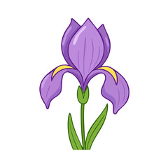 Naklejka premium Vibrant purple iris flower with green stem and leaves, clean illustration