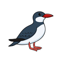 Fototapeta premium Cartoon seabird with red beak and feet standing side profile with white background