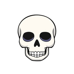 Obraz premium Cartoon human skull illustration with empty dark eye sockets and teeth, isolated vector graphic