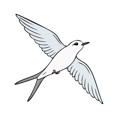 Obraz premium Graceful White Bird in Mid-Flight with Wings Spread Wide