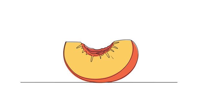 Single slice of a ripe peach or nectarine showing its juicy yellow flesh and vibrant orange skin in a continuous line art style.