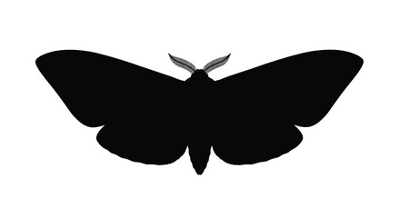 Moth silhouette against a white background high quality © SAKINA
