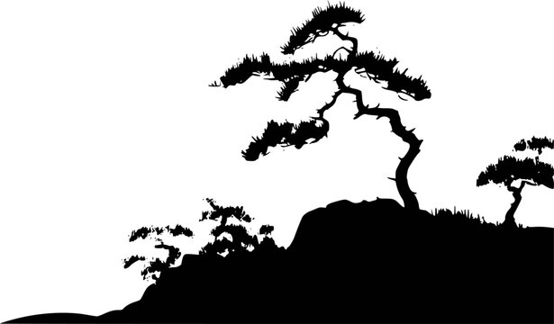 Silhouette of a gnarled pine tree a rocky outcrop against a white background black