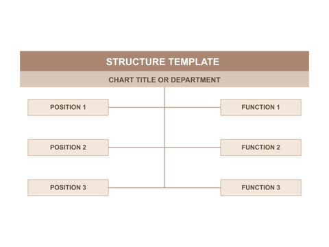 Structure template for organization chart, business diagram with positions and functions, vector.