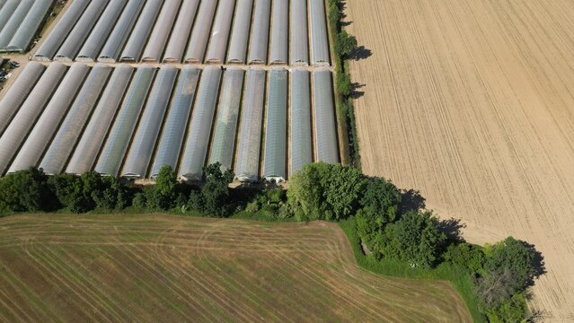 Agricultural Greenhouse Fields: A high-angle view showcases rows of agricultural greenhouses stretching across the landscape, adjacent to harvested fields, 