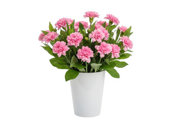 Fototapeta premium Pink roses in a white vase with green leaves and stems PNG isolated on transparent background