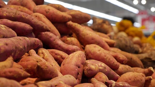 A pile of sweet potatoes is displayed on a supermarket vegetable counter, surrounded by other produce and store shelving. Organic produce.