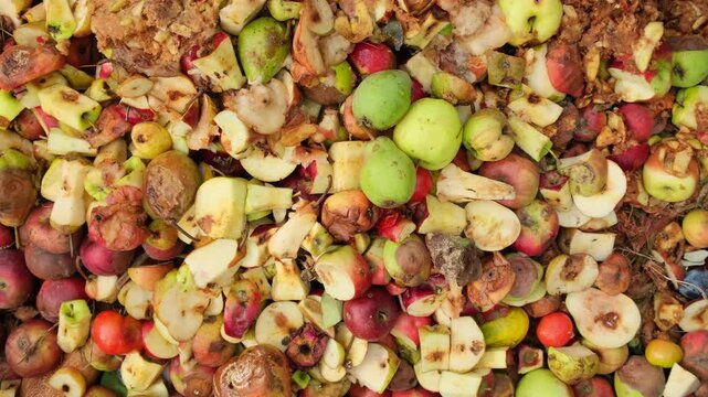 Compost Fruits and Vegetables in Compost Pile. Composting food scraps, organic waste. Organic recycling food waste. Transforming Kitchen Waste into Nutrient-Rich Compost for Your Garden 