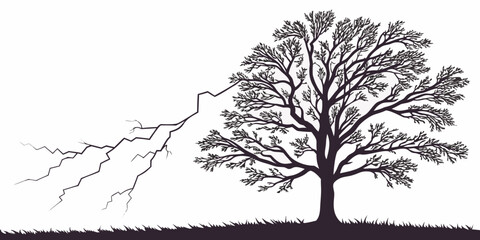 Silhouette of a barren tree with a lightning bolt striking its trunk on a grassy hill against a white background leafless tree lightning strike lone tree damage tree bark © Mamun