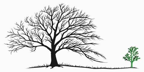 Obraz premium Large leafless tree silhouette next to a small green sapling symbolizing growth regeneration the cycle of life in nature with leafless silhouette contrast branches environment
