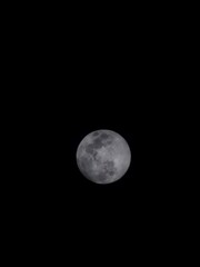 Obraz premium moon in the night sky