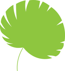 Monstera Leaf Detailed Illustration – Tropical Green Botanical Split Leaf Vector Art © Md.Nazmul Haque