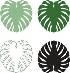 Monstera Leaf Detailed Illustration – Tropical Green Botanical Split Leaf Vector Art © Md.Nazmul Haque