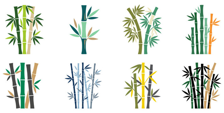 bamboo vector illustration in different color and different types 