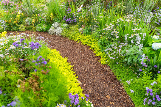 colorful flowers with path leading through a flower garden
