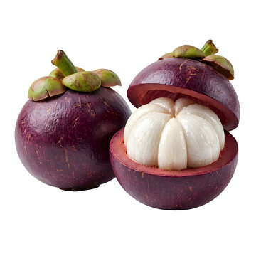 Mangosteen