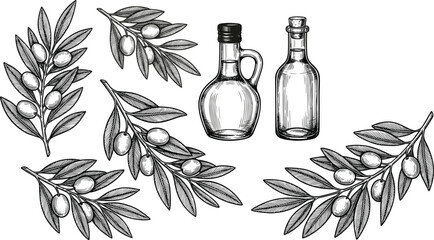 : Vintage Hand Drawn Olive Branch and Olive Oil Bottle Collection Black and White Sketch Vector Illustration Set © MdRiazul