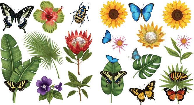 Tropical botanical vector collection with colorful butterflies sunflowers hibiscus flowers protea and palm leaves for summer garden designs nature wedding invitations and floral background patterns.