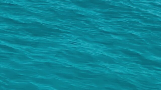 background with blue ripples and waves on the water surface. Waves reflecting light, a swimming pool, sea, ocean. Clear water, splashes, waves, viewed from above. Summer vacation, relaxation, weekend