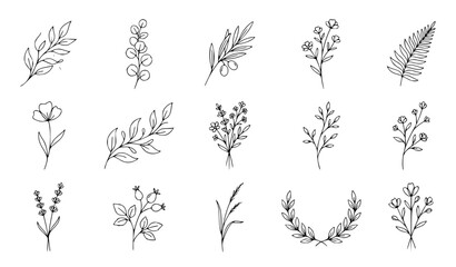 Minimal One Line Botanical Vector Set with Hand Drawn Leaves Branches Wildflowers and Floral Elements for Wedding Design © Mdsabbir