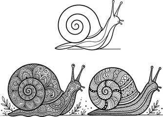 Ornamental snail illustrations featuring simple line drawing and intricate decorative shell patterns with natural artistic zentangle inspired designs © MDGOLAP