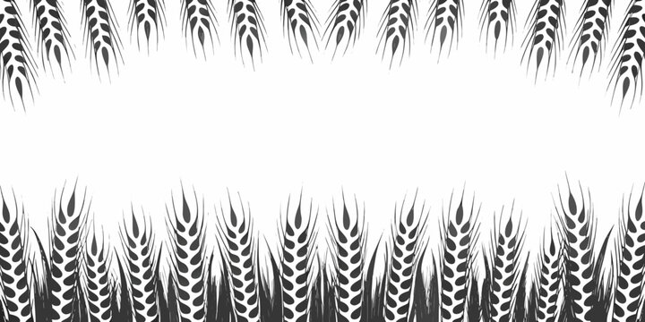 Wheat stalks illustration black and white botanical graphic on white background