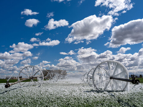 Frozen Irrigation sprinklers on an Idaho farm