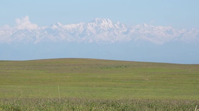 Panoramic view of Talgar Peak in Almaty region, Kazakhstan, with green foreground and copy space. Suitable for travel, nature, and outdoor adventure background concepts.