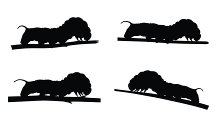 Lion silhouette quartet majestic felines in black against a white background © arfanah02