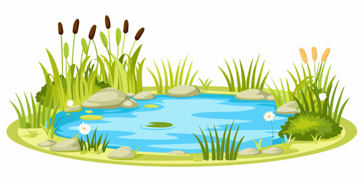 Cartoon pond with blue water rocks and green plants
