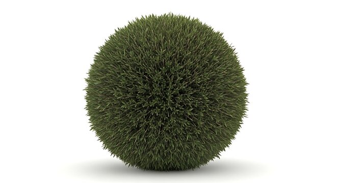 Green fuzzy ball decorative object.