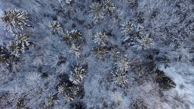 Winter aerial view featuring the snowy woods around Little River Park in Lee, New Hampshire