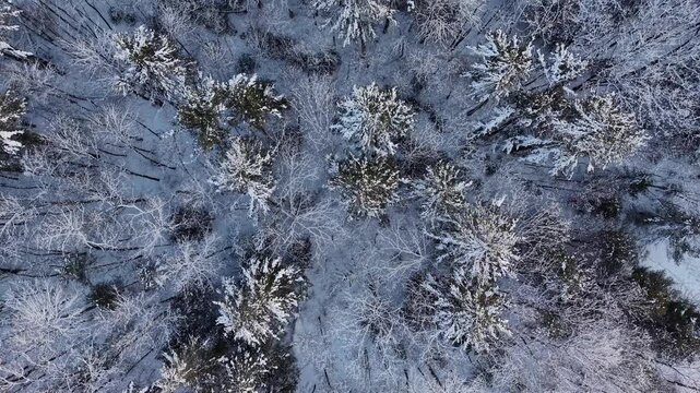 Winter aerial view featuring the snowy woods around Little River Park in Lee, New Hampshire