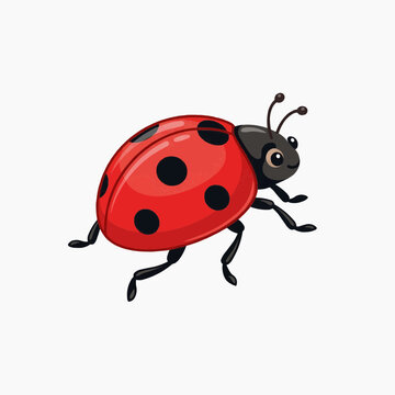 Ladybug walking forward