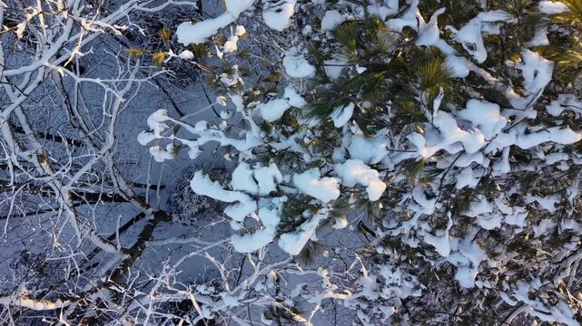 Winter aerial view featuring the snowy woods around Little River Park in Lee, New Hampshire