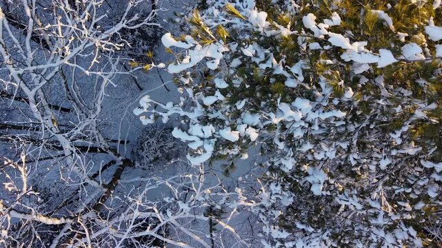 Winter aerial view featuring the snowy woods around Little River Park in Lee, New Hampshire