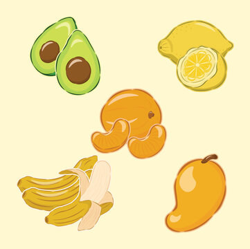 illustration of fruit, avocado, orange, lemon, banana, mango, tropical fruit, healthy food, tropical fruit icon