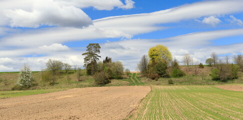 Spring sunny landscapes in Podlasie © Grzegorz